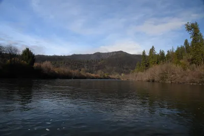 DSC_0280 (Large).JPG